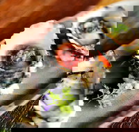 Bin 232 - Geraldton Accommodation