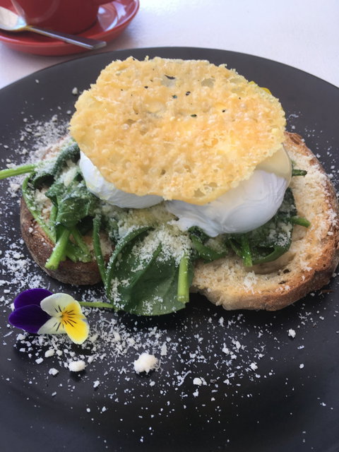 Shaana Cafe - Geraldton Accommodation 3