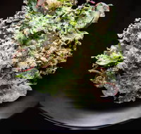 Arthur Waterhouse Lounge - Geraldton Accommodation