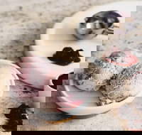 Gelatissimo - Chatswood - Geraldton Accommodation