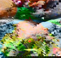 Salad Bar - Chatswood - Geraldton Accommodation