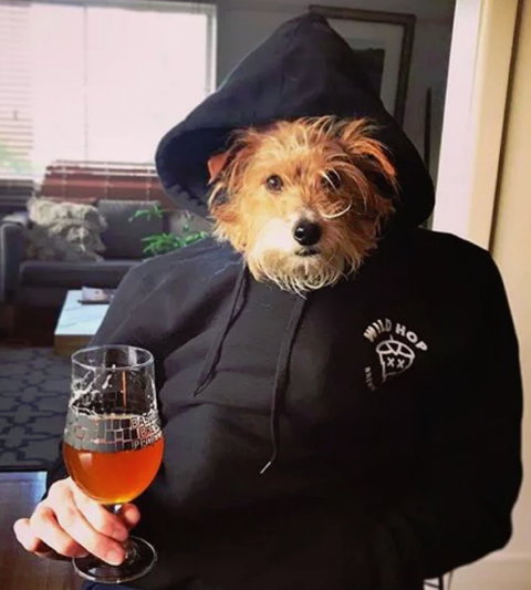 Wild Hop Brewing Company - Geraldton Accommodation 1
