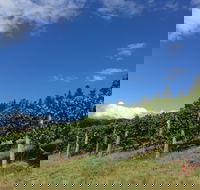 Freycinet Vineyard - Geraldton Accommodation