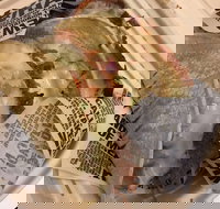 Guzman Y Gomez - Perth Airport - Geraldton Accommodation