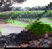 Spring Vale Vineyard - Geraldton Accommodation