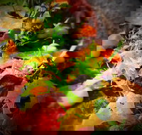 The Roosevelt Lounge - Geraldton Accommodation