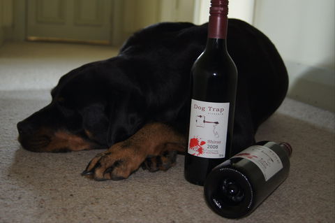 Dog Trap Vineyard - Geraldton Accommodation 0