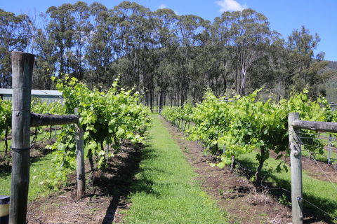 Woongooroo Estate Winery - Geraldton Accommodation 0