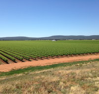 Melange Wines - Geraldton Accommodation
