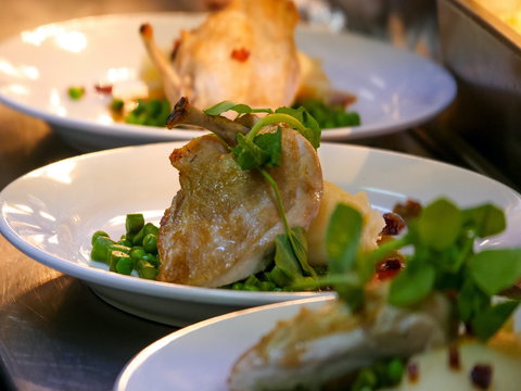 Griffith Exies Club - Geraldton Accommodation 1