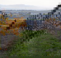 Barwon Ridge Wines - Geraldton Accommodation