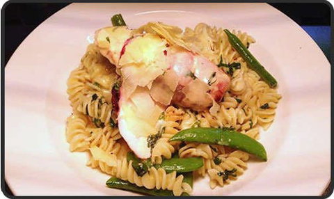 Spotty Cat - Geraldton Accommodation 0