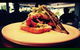Aromas Cafe - thumb 0