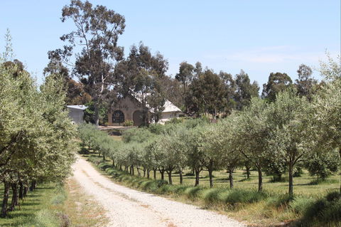 L'Oliveraie Olive Grove - Geraldton Accommodation 0