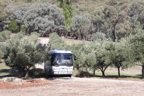 L'Oliveraie Olive Grove - Geraldton Accommodation 2