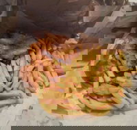 Belmont Village Fish  Chips - Geraldton Accommodation