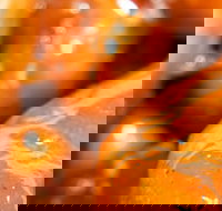 Morish Nuts - Geraldton Accommodation