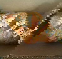 Le Petite Patisserie - Geraldton Accommodation