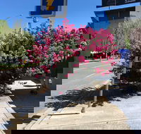 Alpine Gate Cafe - Geraldton Accommodation