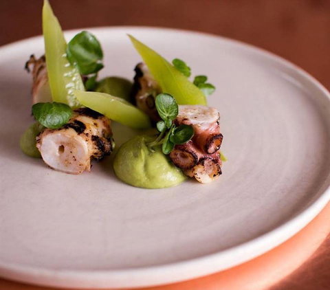 Maestro - Geraldton Accommodation 16