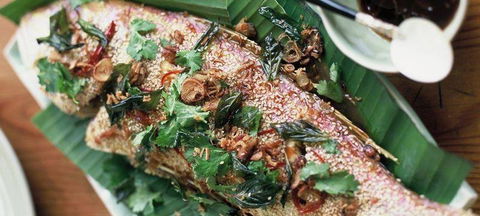 Fresh - Natural Asian - Geraldton Accommodation 1