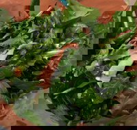 Soph Slice Gourmet Pizza Bar - Geraldton Accommodation