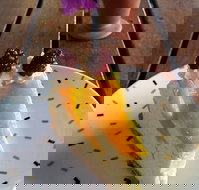 Treesa Green - Geraldton Accommodation