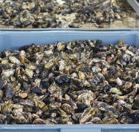 Lease 65 - Geraldton Accommodation