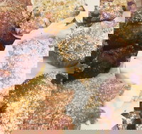 Little Lamonts - Geraldton Accommodation