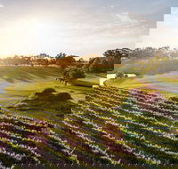 Sandalford Restaurant - Geraldton Accommodation