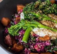 The Hungry Monkey - Geraldton Accommodation