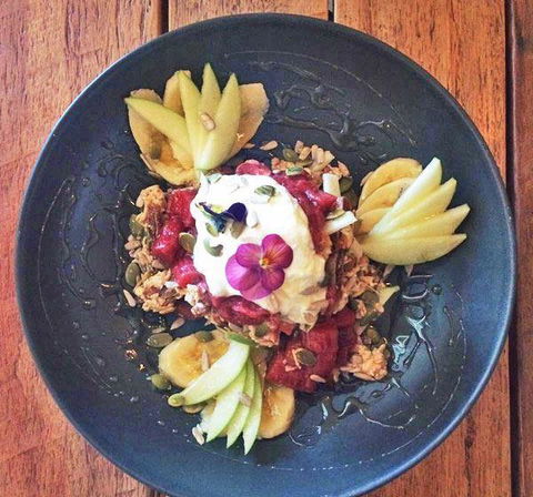 The Hungry Monkey - Geraldton Accommodation 11