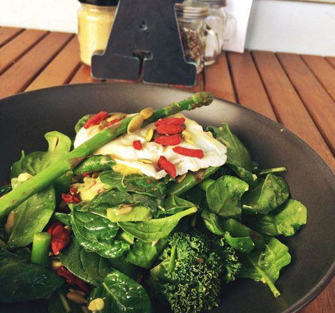 The Hungry Monkey - Geraldton Accommodation 12