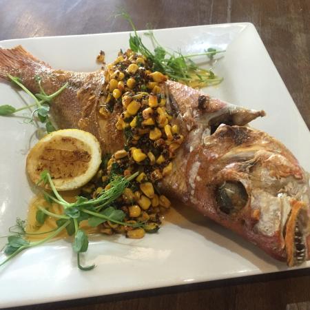 Deli Chicchi - Geraldton Accommodation 0