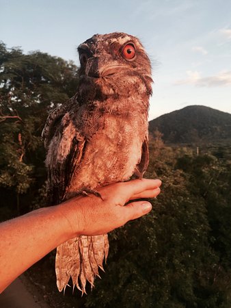 Cafe Anywhere - Geraldton Accommodation 0