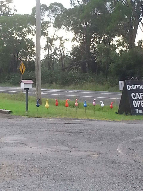 Danish Flower Art Gourmet Cafe - Geraldton Accommodation 1