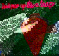 Old School Pizza  Stonegrill - Geraldton Accommodation