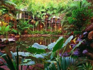Daintree Eco Lodge & Spa - Geraldton Accommodation 0