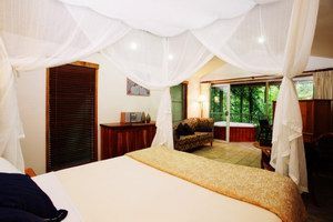 Daintree Eco Lodge & Spa - Geraldton Accommodation 1