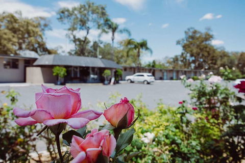 Artesian Spa Motor Inn - Geraldton Accommodation 2