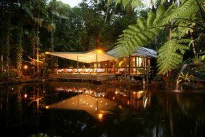 Daintree Eco Lodge & Spa - Geraldton Accommodation 2