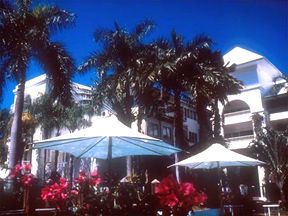 Alamanda Palm Cove - Geraldton Accommodation 1