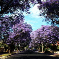 Book Wayville Accommodation Vacations Geraldton Accommodation Geraldton Accommodation