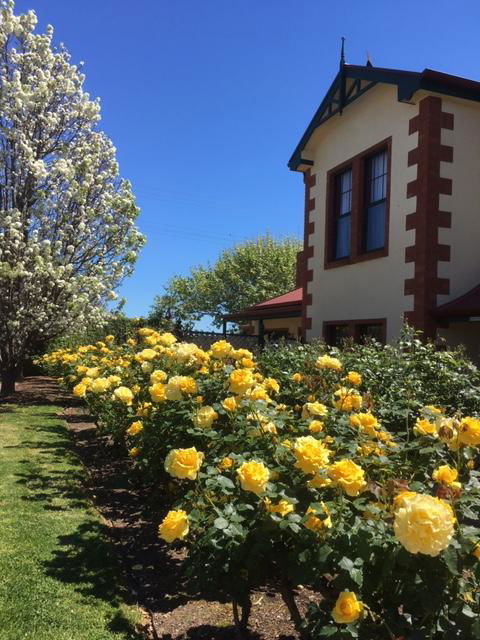 Wine And Roses Bed And Breakfast - Geraldton Accommodation 5