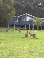 Book Denmark Accommodation Geraldton Accommodation Geraldton Accommodation