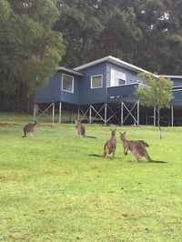 Book Denmark Accommodation Vacations Geraldton Accommodation Geraldton Accommodation