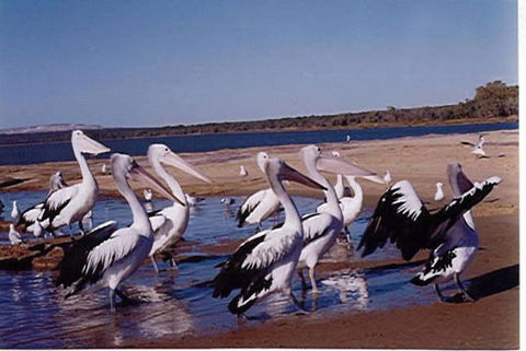 Unit 42 Kalbarri Beach Resort - Geraldton Accommodation 17