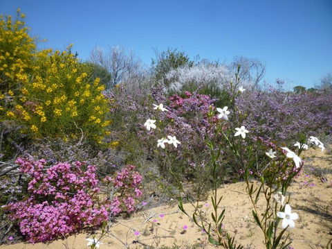 Unit 42 Kalbarri Beach Resort - Geraldton Accommodation 26