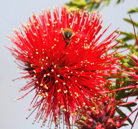 Riverview Tourist Park - Geraldton Accommodation 36