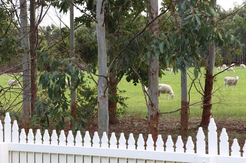 Sapphire Chalets, Augusta - Geraldton Accommodation 9
